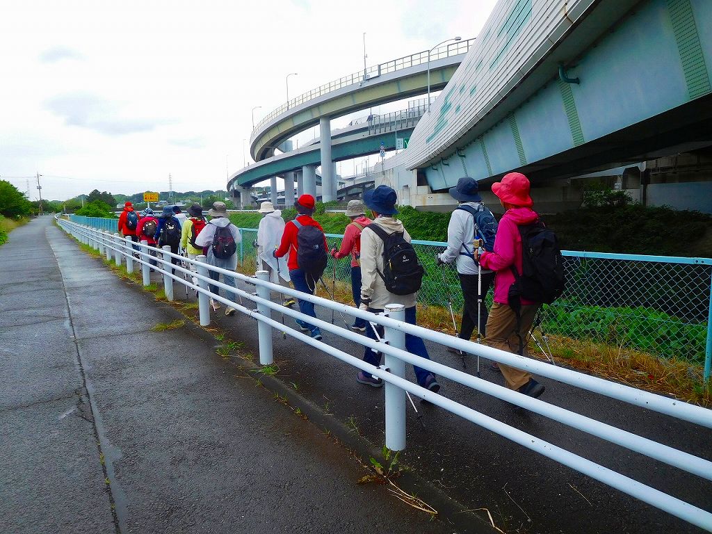 鶴見川沿いを進む