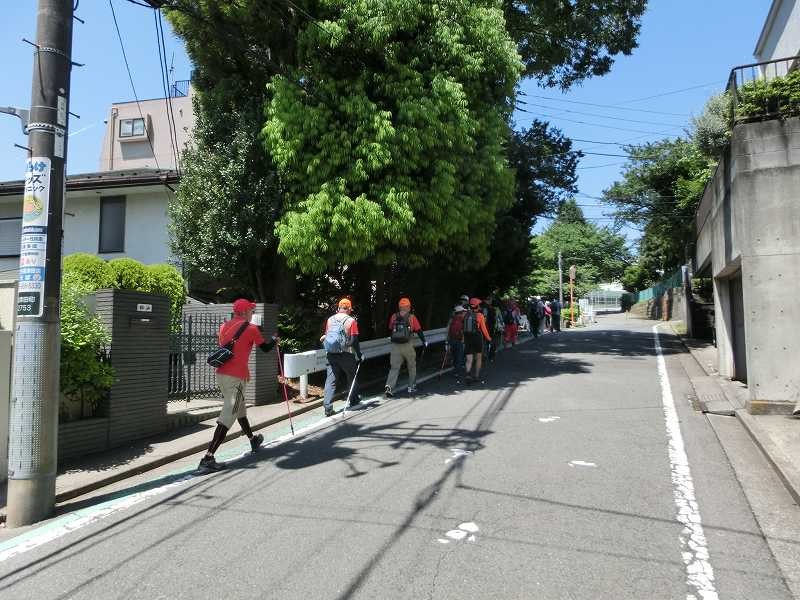 旧大山街道を目指して一列でウォーキング