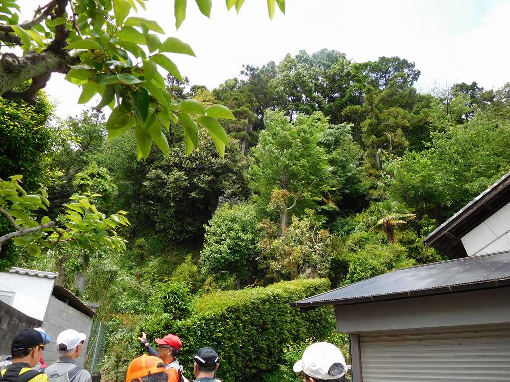 荏田城が建っていたといわれる場所　個人所有物のようです