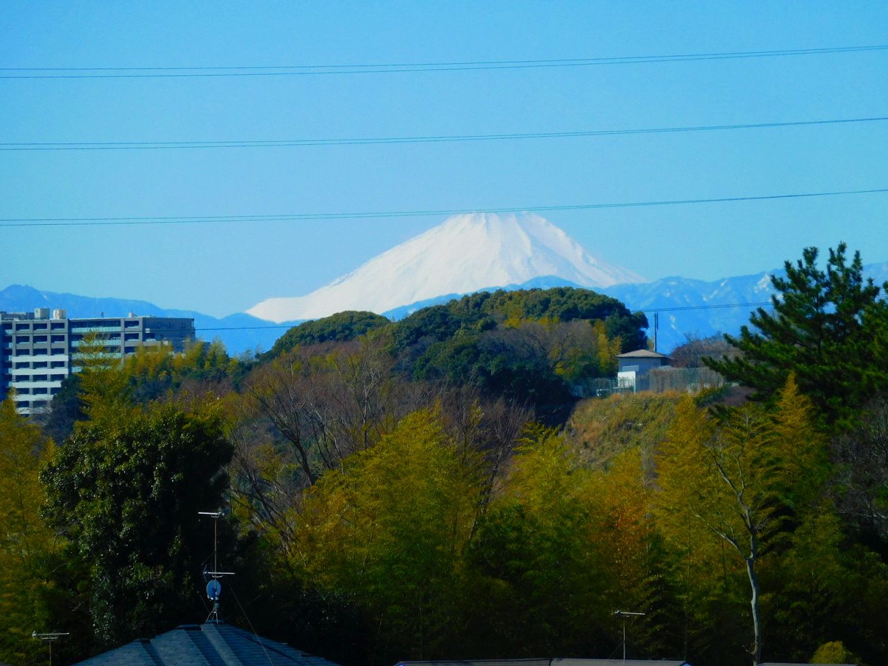 名前通り　富士山が見えました