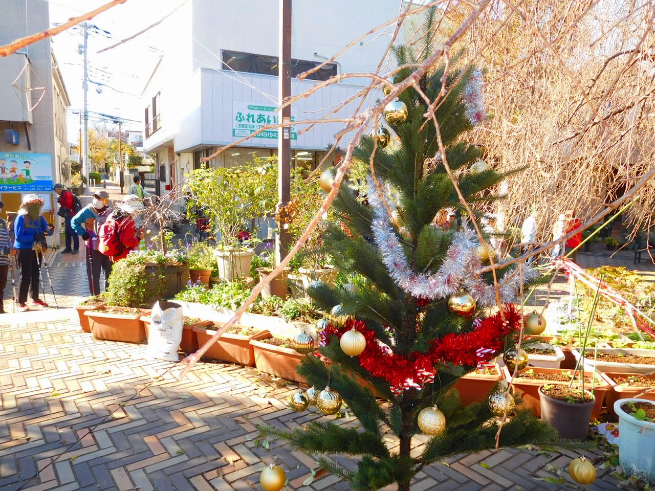 エダキンもクリスマス雰囲気