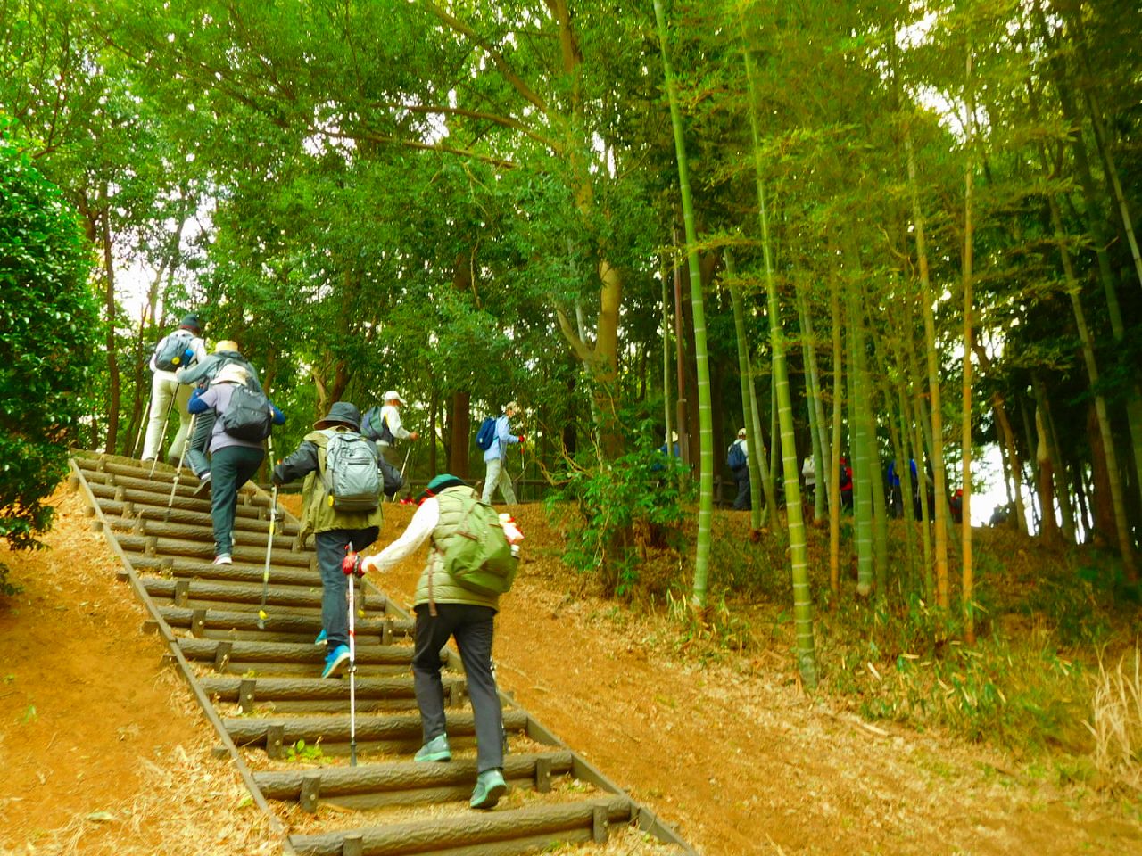 竹林横の階段を登る　今日は坂道・階段が多いとの声