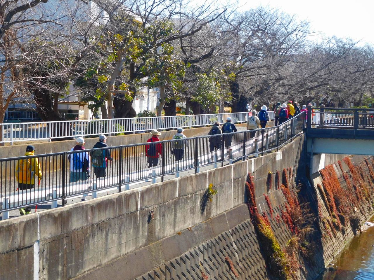 矢上川沿いの木月住宅前を歩く