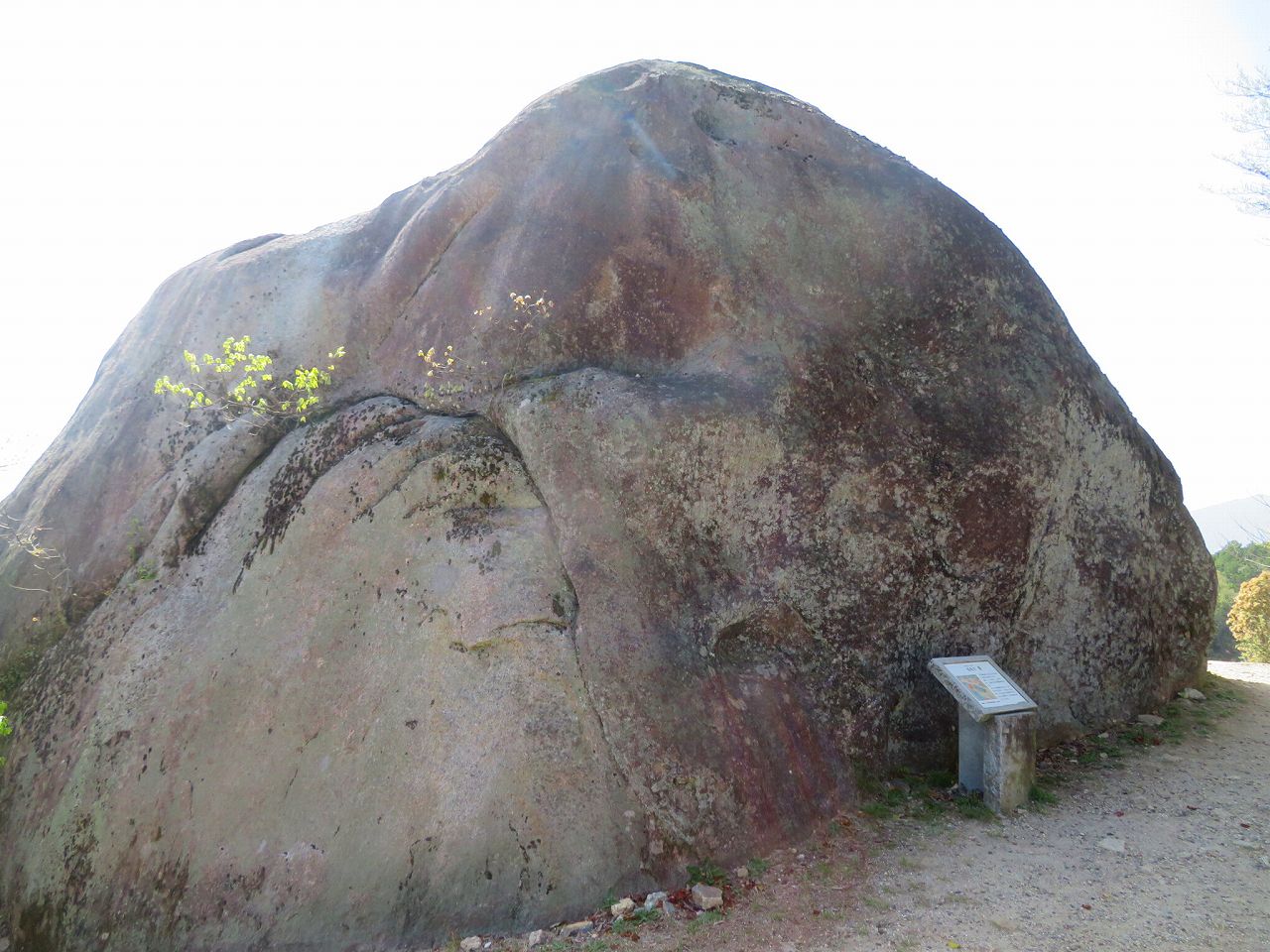 天守の馬洗岩(周囲45m)