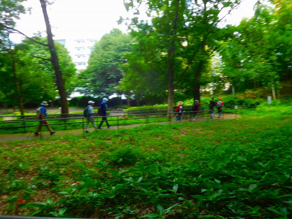 大塚・歳勝土遺跡公園へ