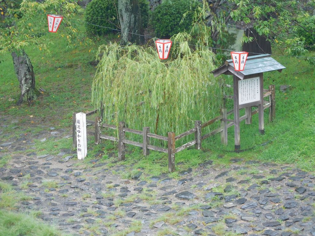 佐々木小次郎はこの柳の枝が燕を打つのを見て「燕返し」の術を会得した