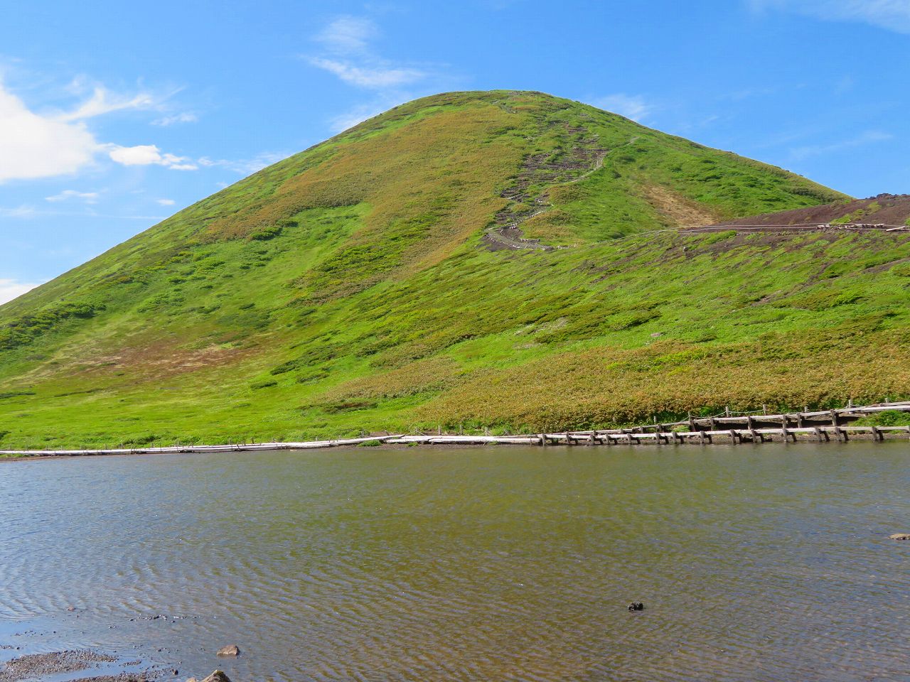 阿弥陀池と男女岳の 近くに高山植物も多くあります