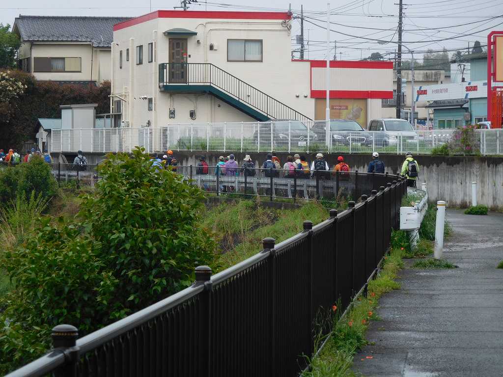 しらさぎの道をウォーキング