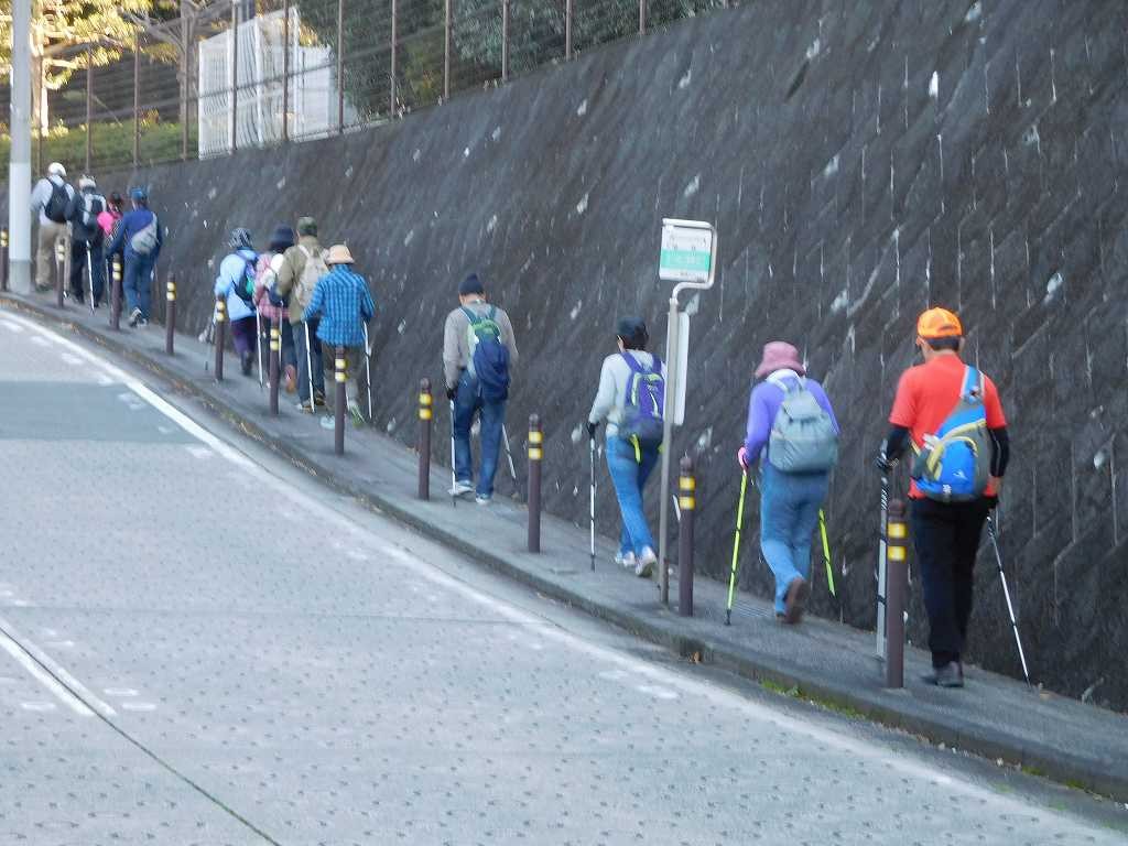 北八朔公園東名口を目指す。登坂はポールを使うと楽ですね