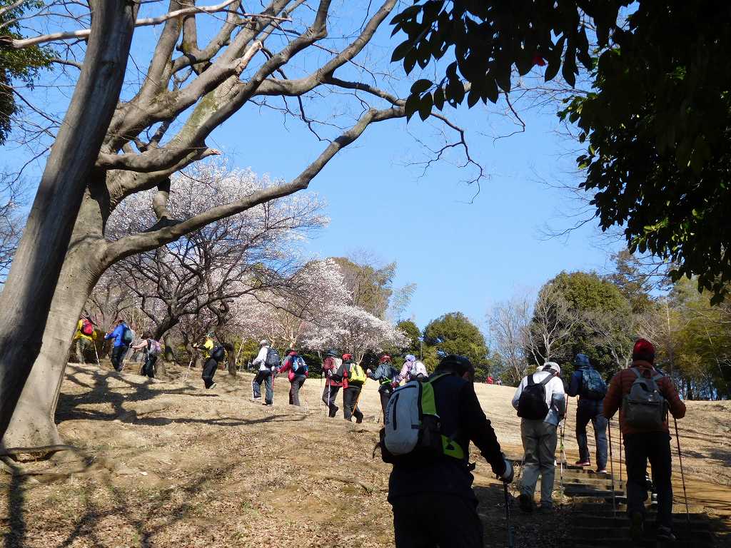 折田不動公園の坂道を登る