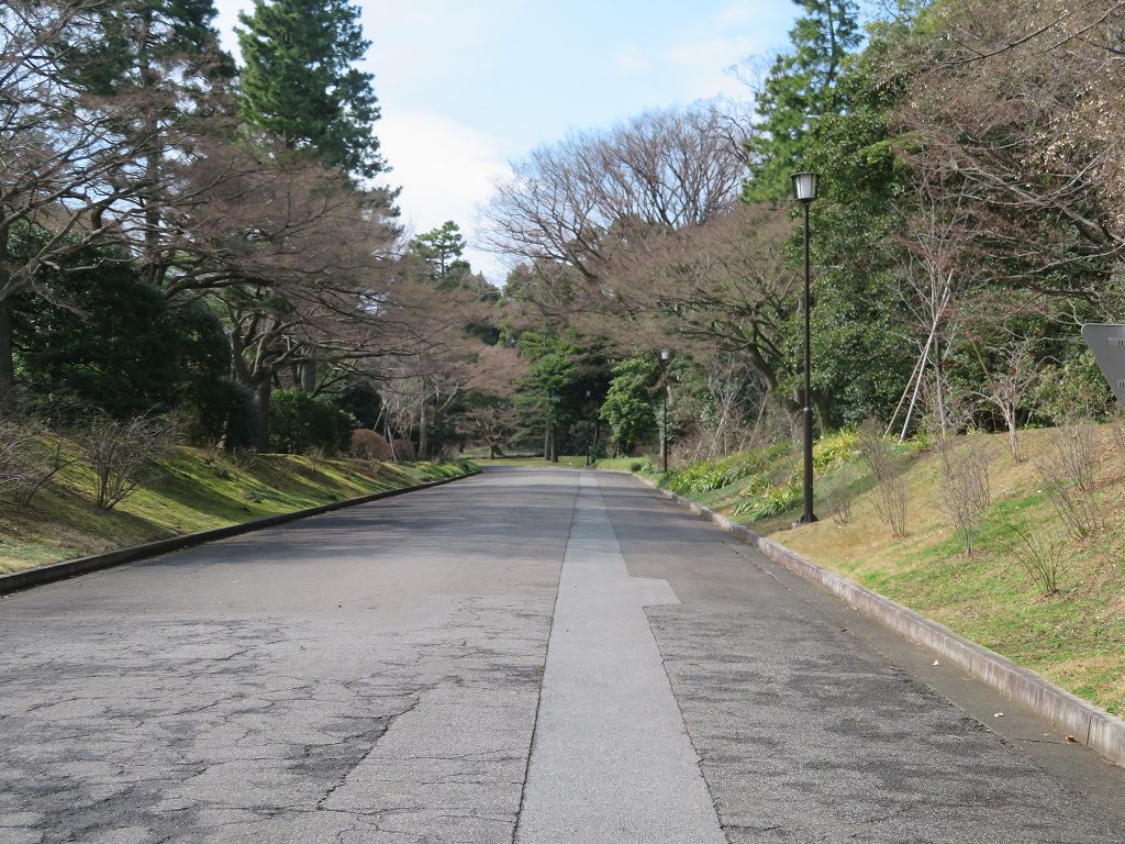 この奥に上皇様の住まいが