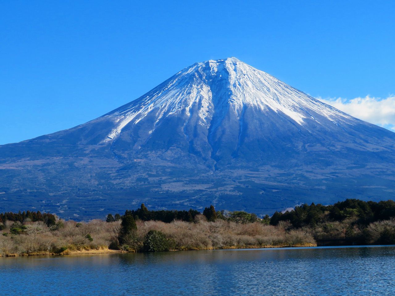 昨日　田貫湖からの富士山