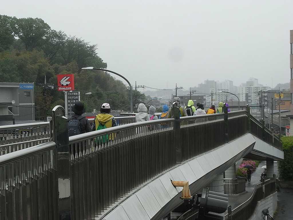 江田駅前歩道橋をウォーキング霧雨はまだ降っています残念!!