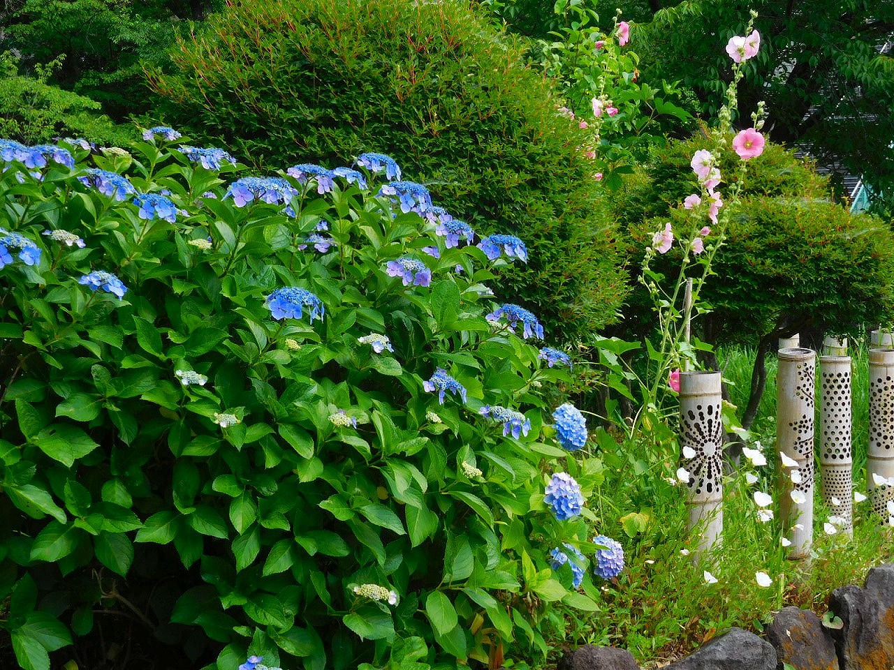 紫陽花と見事な竹工芸