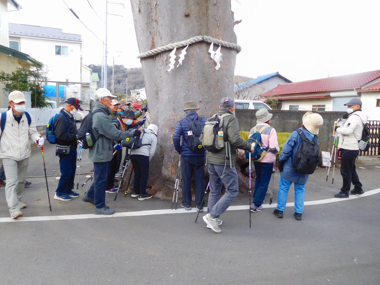 樹齢600年のご神木　パワースポットらしい