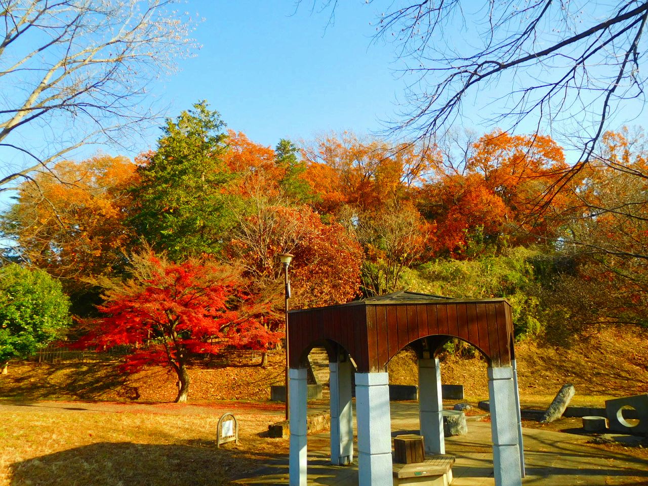 市ヶ尾町公園の紅葉