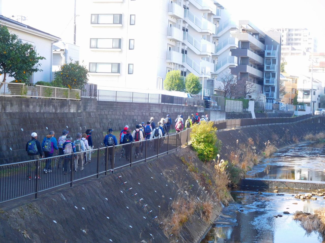 早渕川沿い