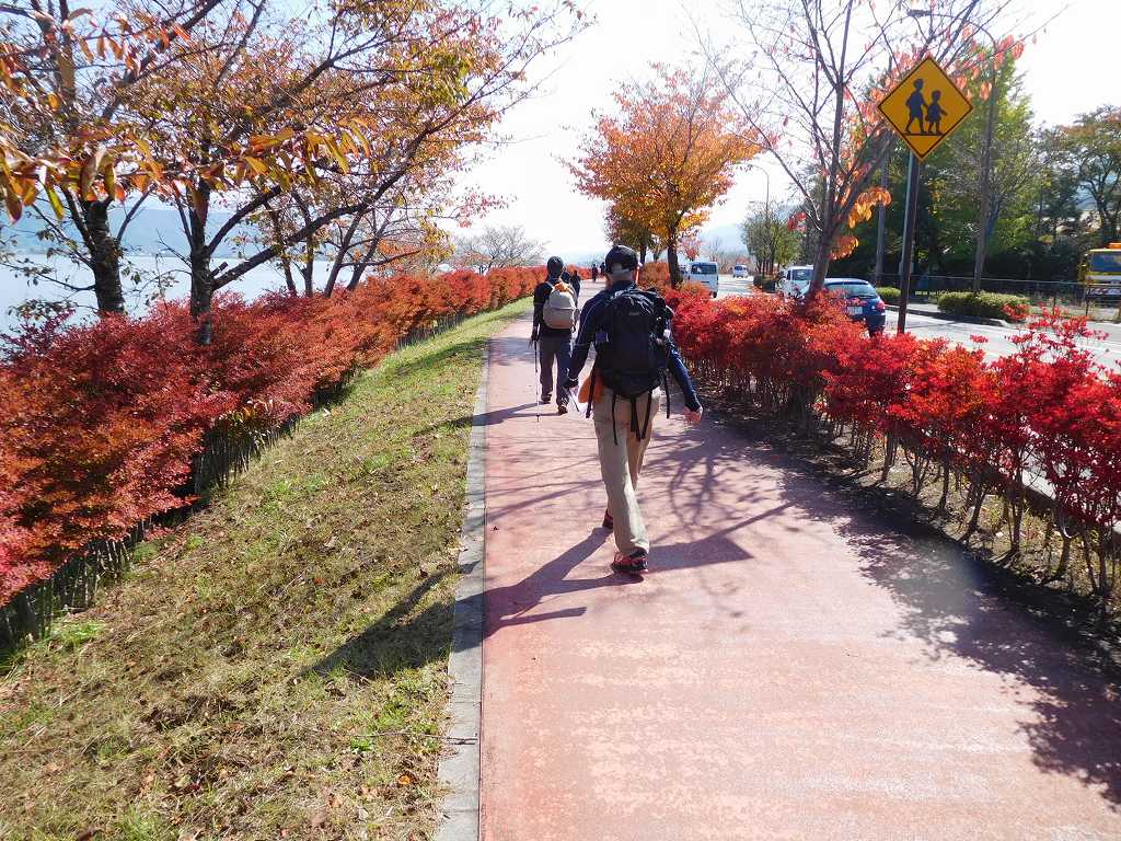 綺麗に紅葉している道を歩くAさん・Tさん