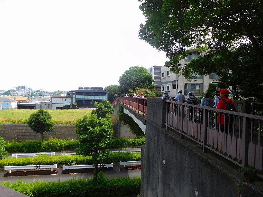 かなりあ公園目指して