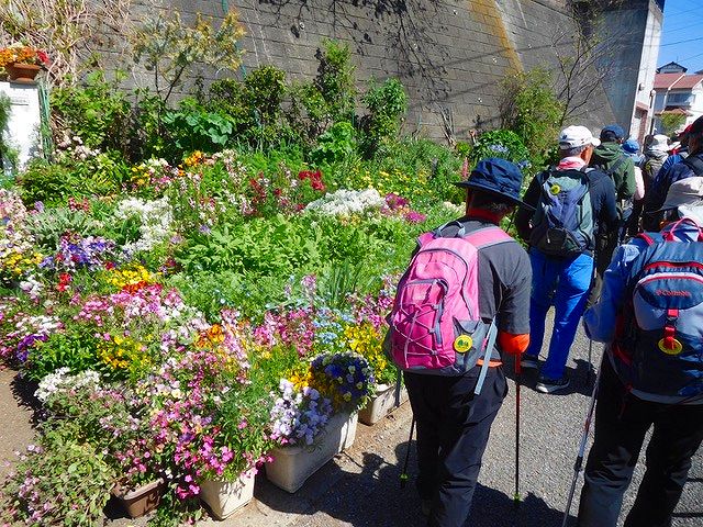 市が尾町お花好きの御宅前を進む
