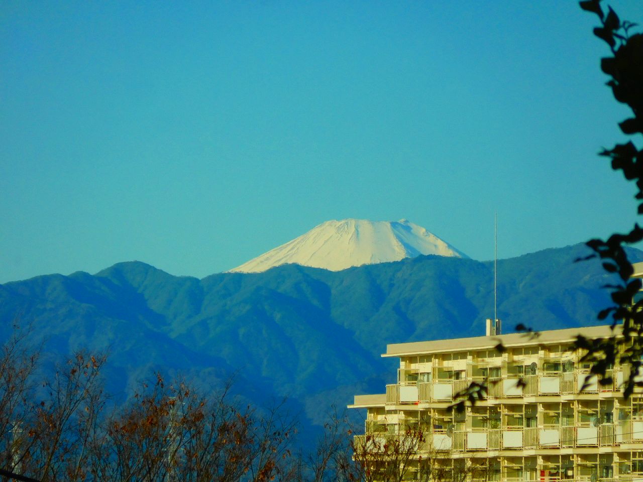 富士山が綺麗な日