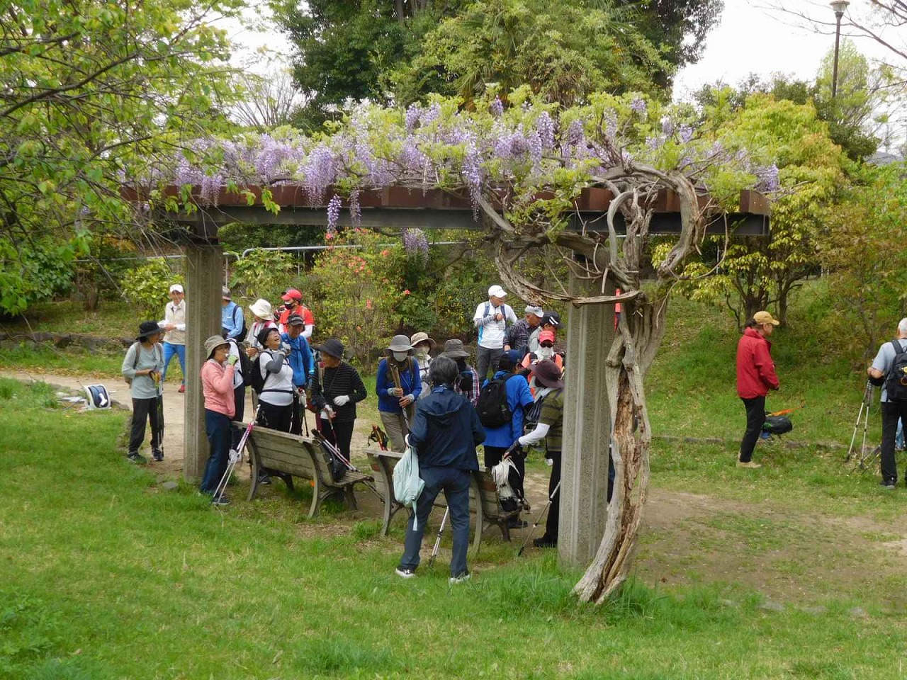 小黒公園の藤棚下で休憩　周りには保育園児も遊んでました