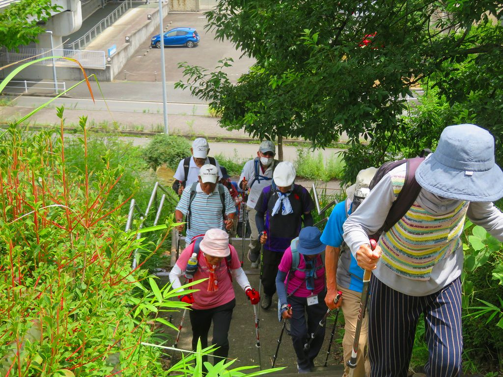 茅ヶ崎城址登り