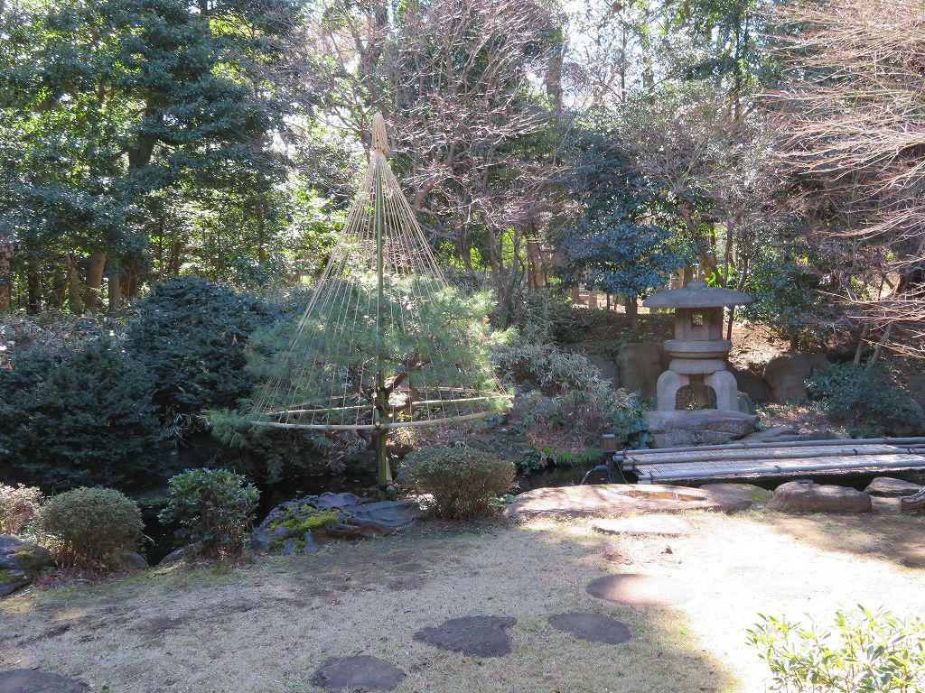 和館から眺められる「池泉庭園」