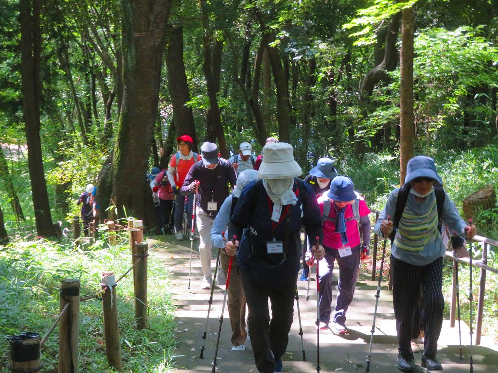 同公園登り