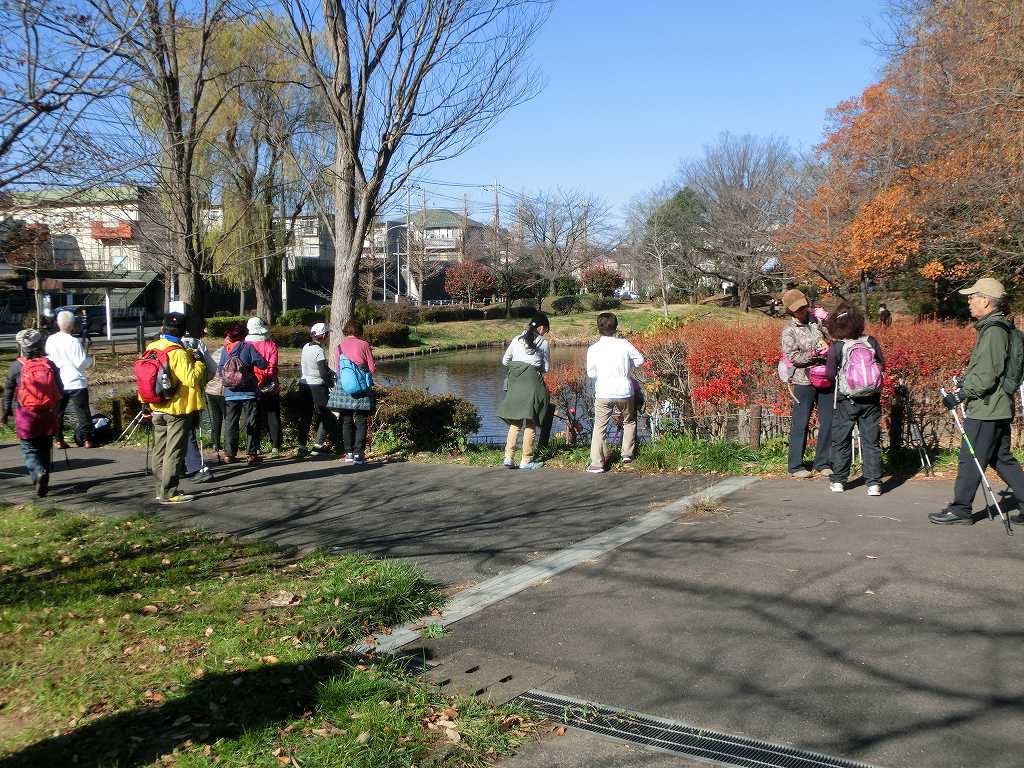 公園到着　池の鴨を眺めながら談笑・水分・糖分補給