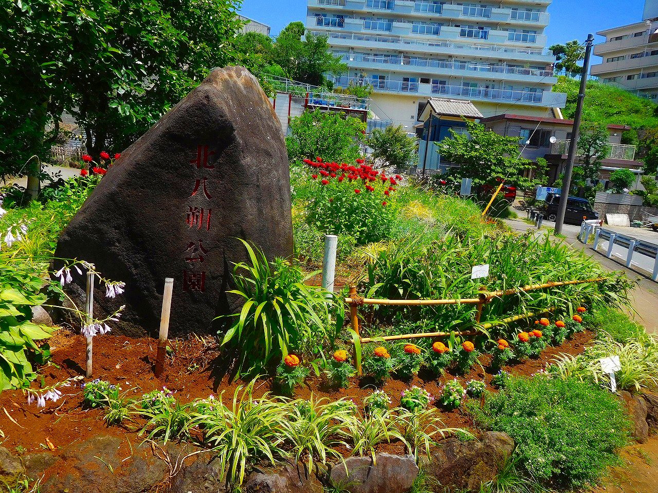 北八朔公園に到着
