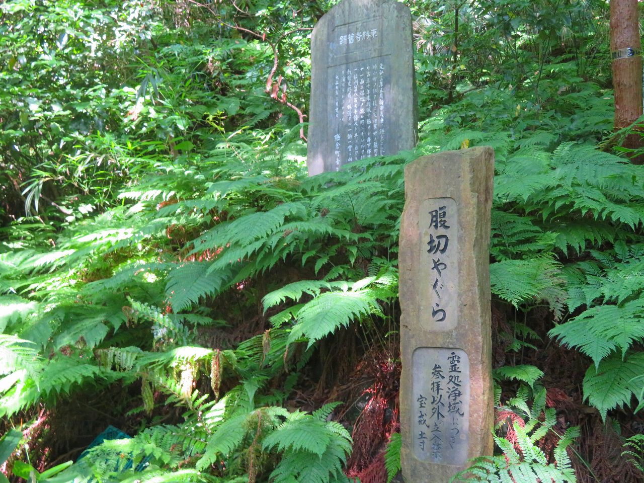 北条高塒切腹やぐら、この地で北条一族が自害した