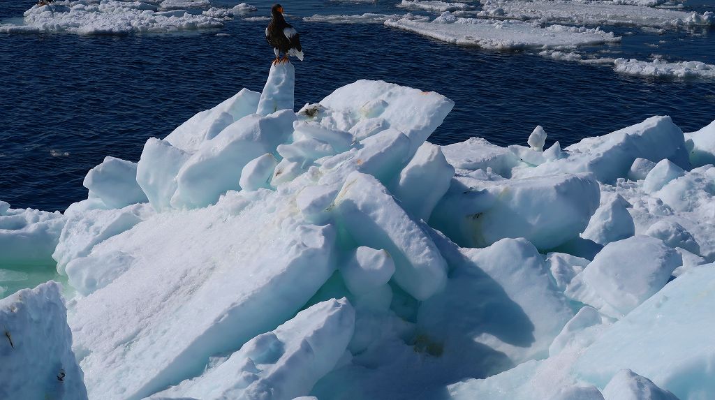 海面下はこの５倍の氷の塊