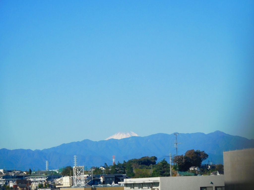 冠雪した富士山が綺麗に姿を見せています　青空に映えますね