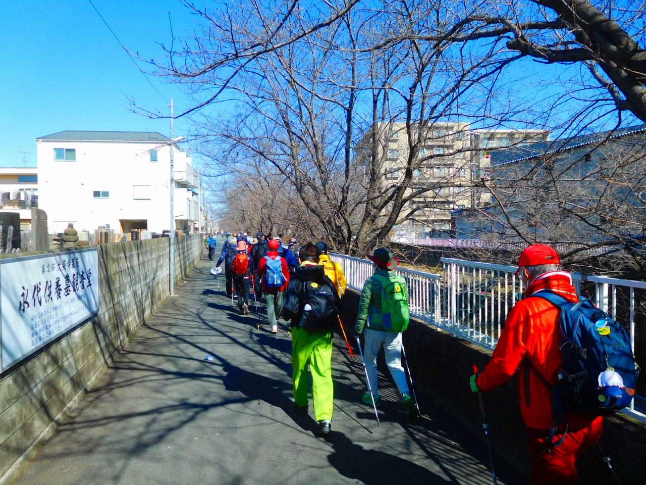 ここは渋川　桜が咲くと綺麗でしょうね