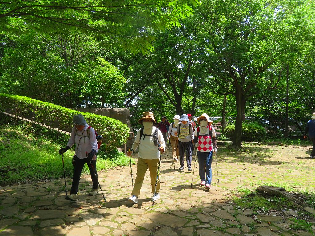 大塚歳勝土登頂