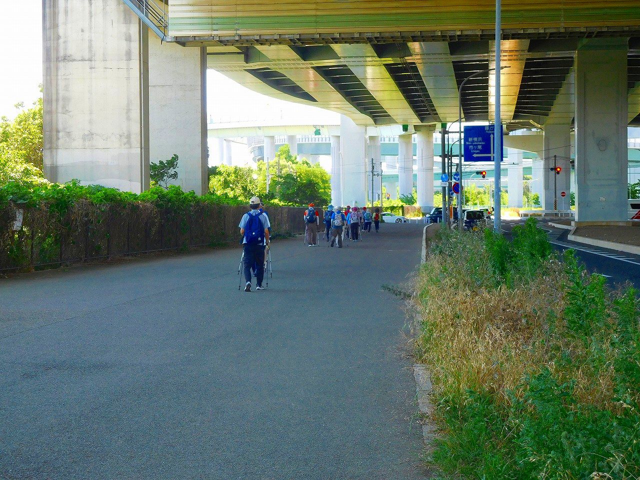 東名高速架橋下を進みます