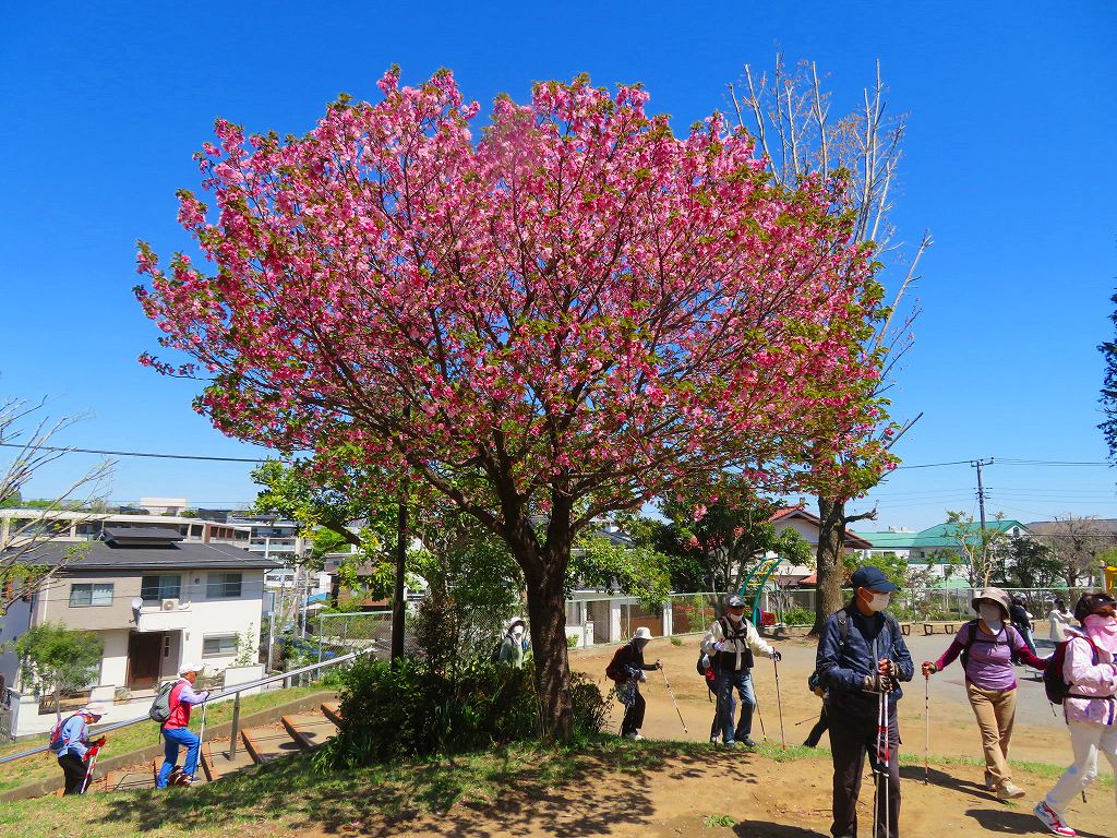 あざみ野東公園到着