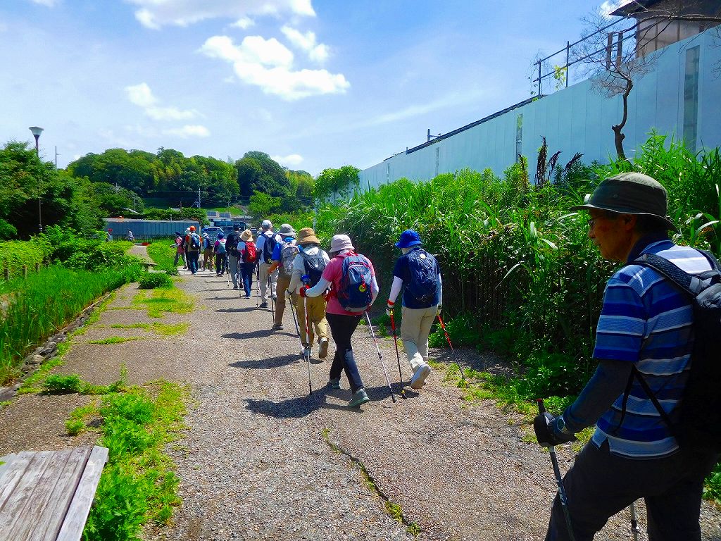 早渕川へ向かって歩く