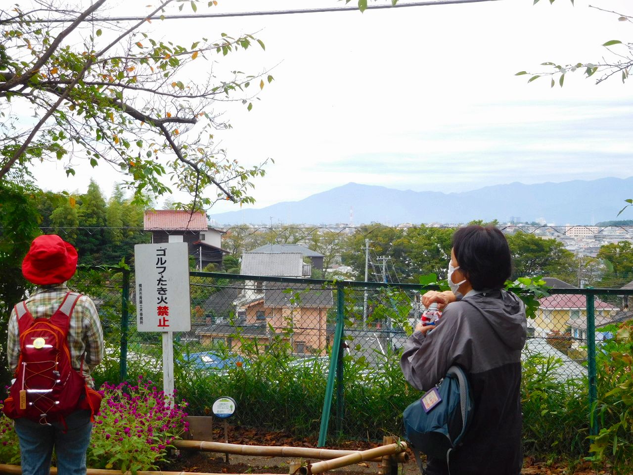 同上　遠くに大山・丹沢山系が