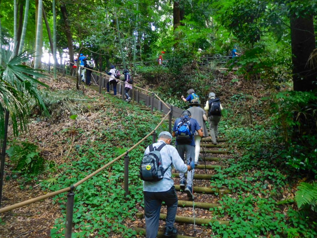 北八朔公園内の山道の階段を上る