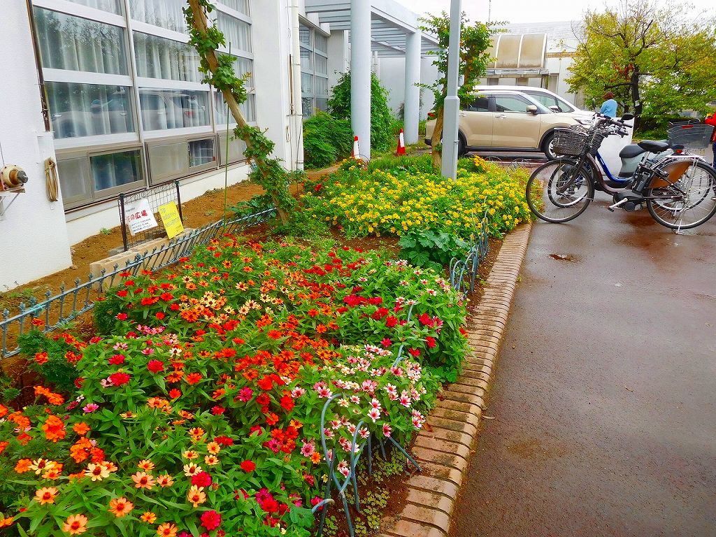 藤が丘地区センターの花壇　綺麗に手入れしてあります