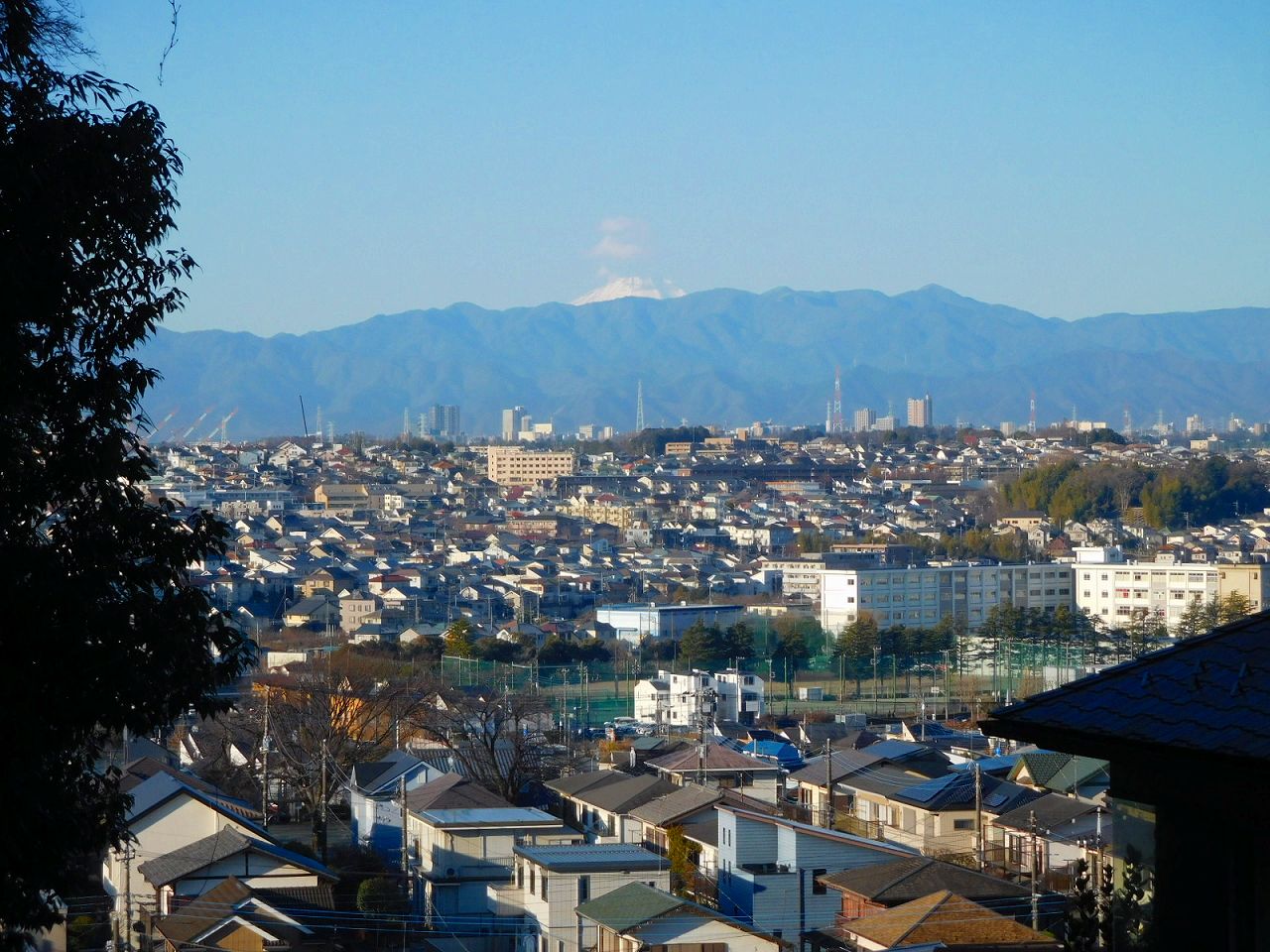 今日　遠くに富士山の頭