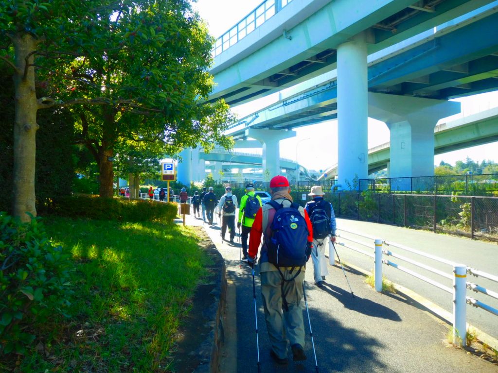 高速道路架橋を眺めウォーキング