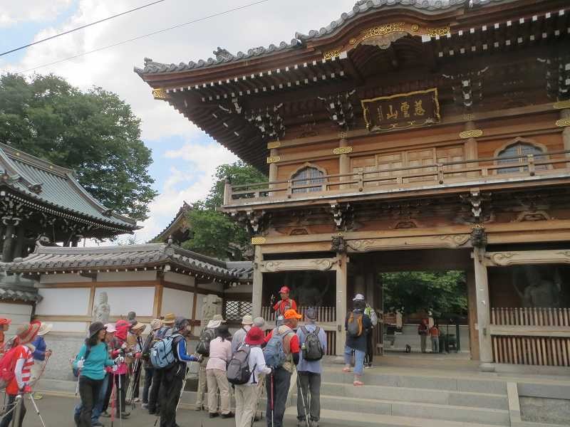 江戸時代の旗本岡野家の菩提寺として建立された大林寺