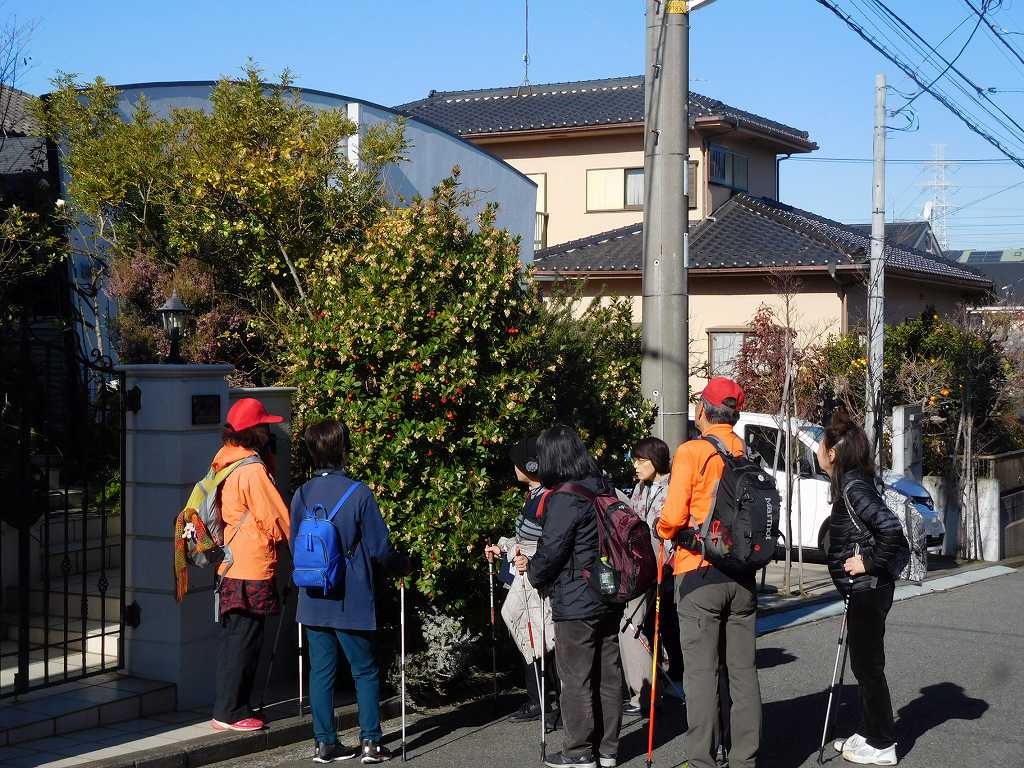 ストロベリーツリー（苺の木）の赤い実と白い花を観賞