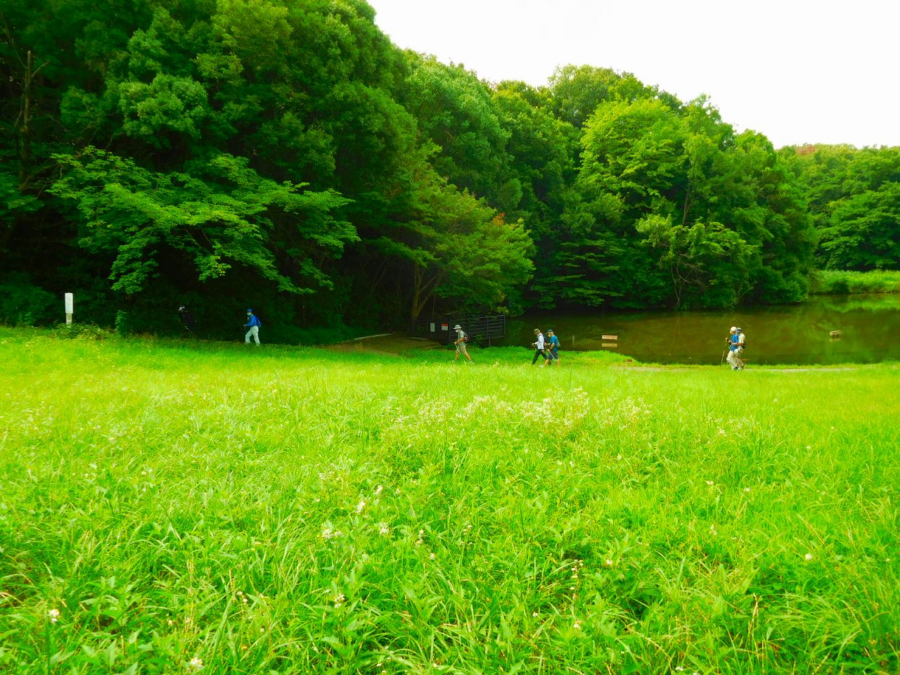 鴨池公園内の池横を歩くおじ様達