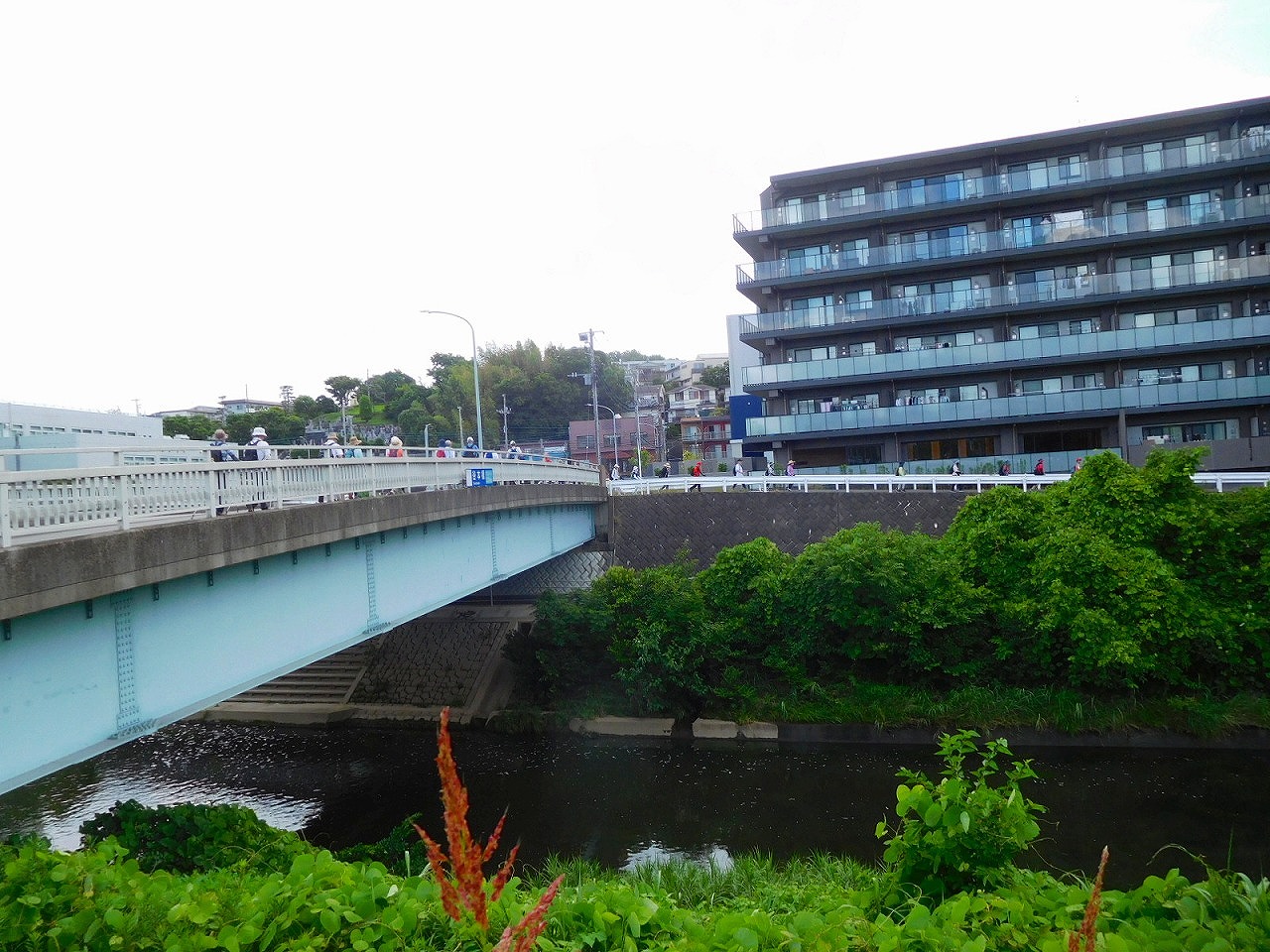 谷本橋を渡って再び鶴見川沿道を歩きます