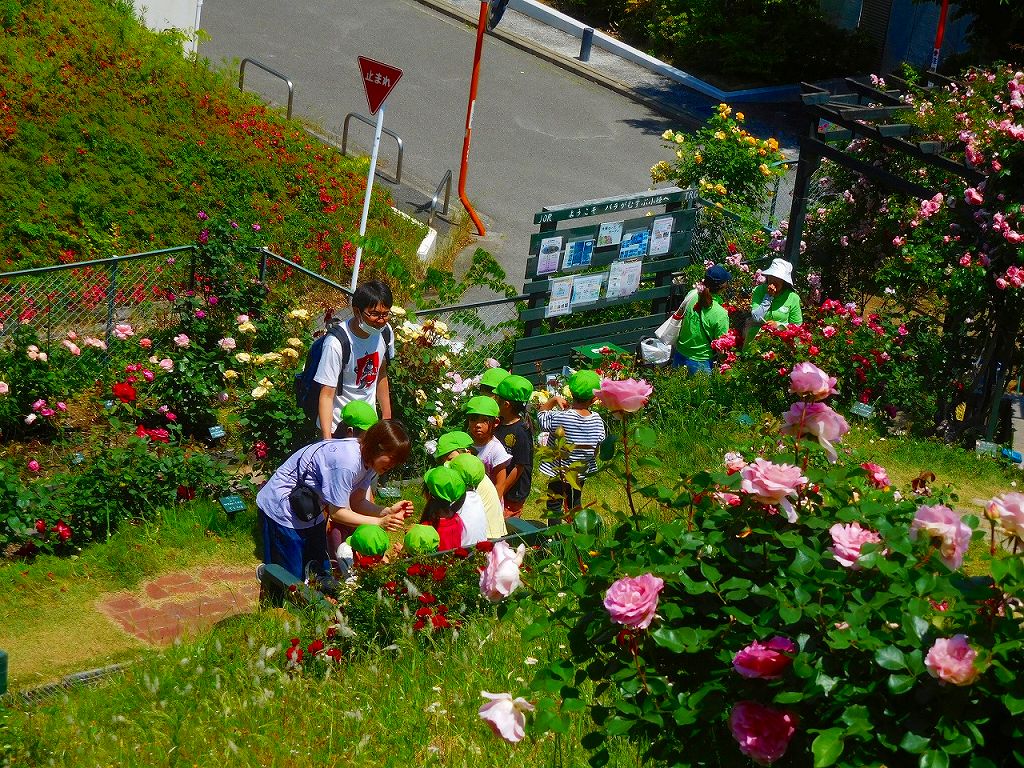 保育園園児も来ています