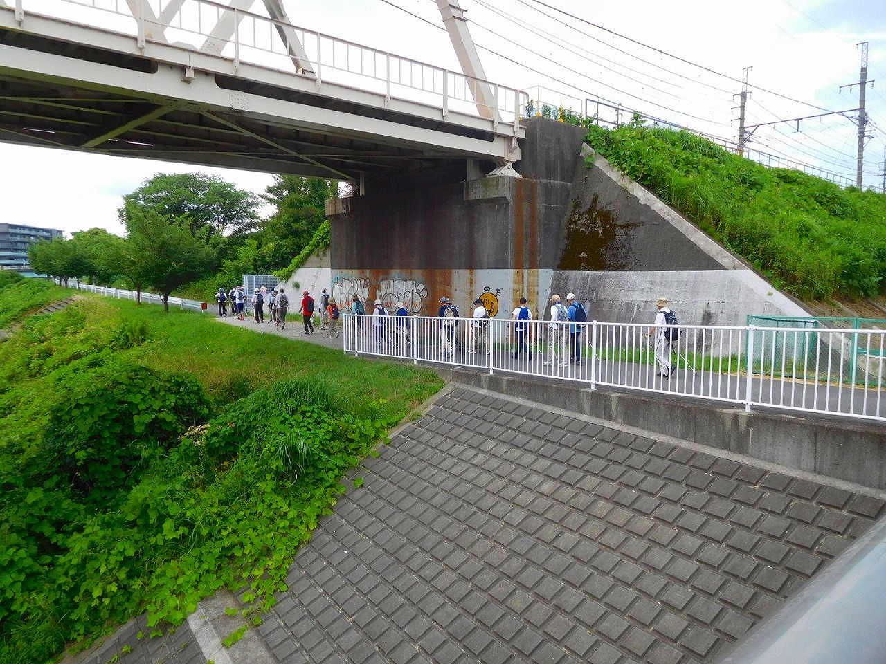 鶴見川沿いに歩きます